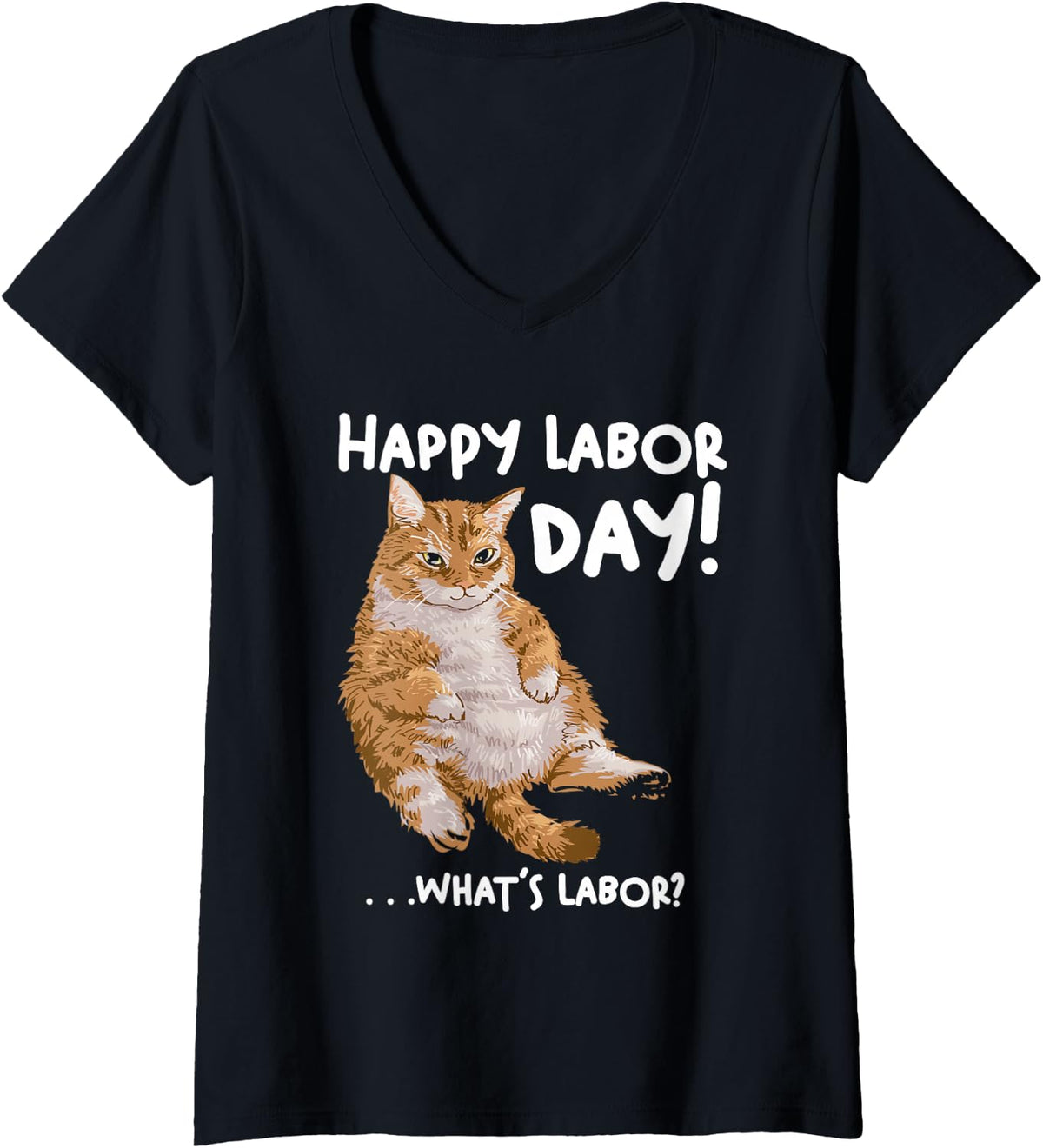 Women's Funny Labor Day cat tee for Women/Men What is Labor? Cat V-Neck T-Shirt - Black