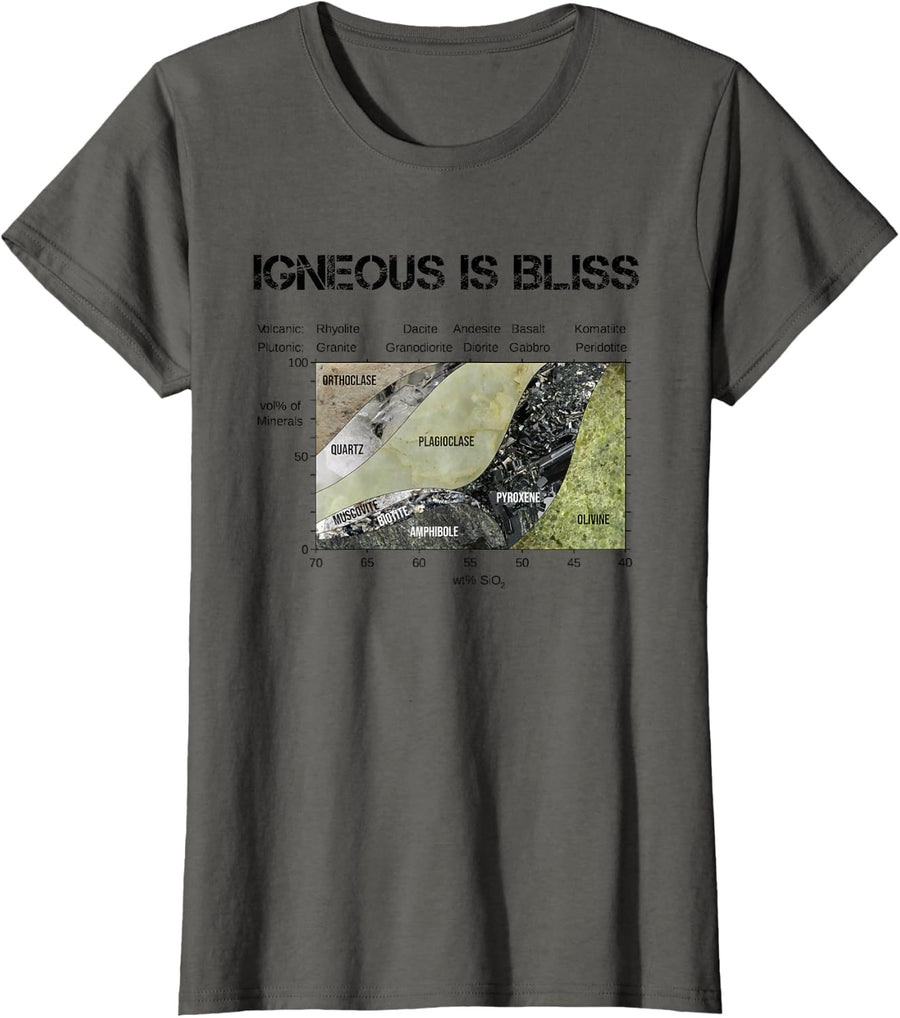 Igneous Is Bliss Geology Teacher Magmatic Rock Geologist Men Women T-Shirt - Asphalt Grey