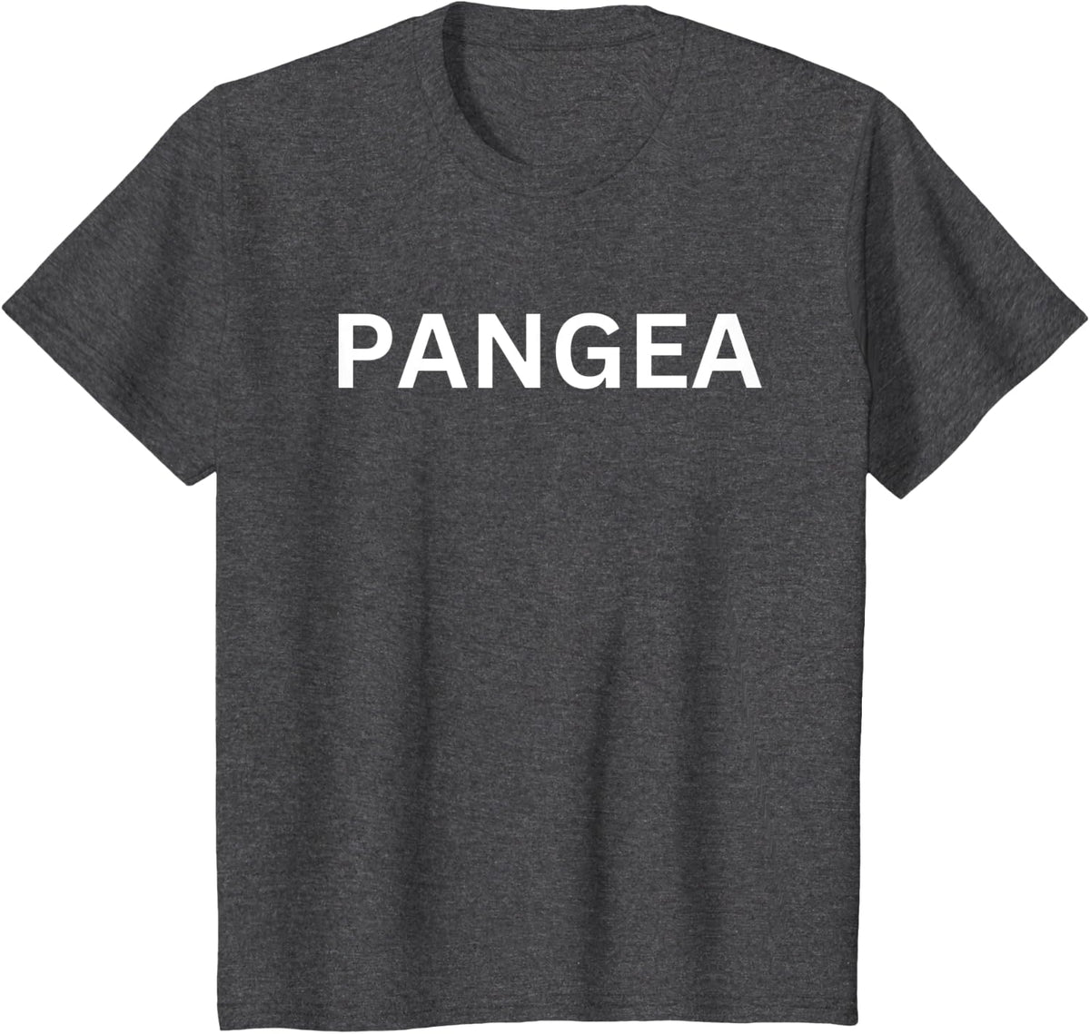 A Single Continent Called Pangea T-Shirt - Dark Heather Grey