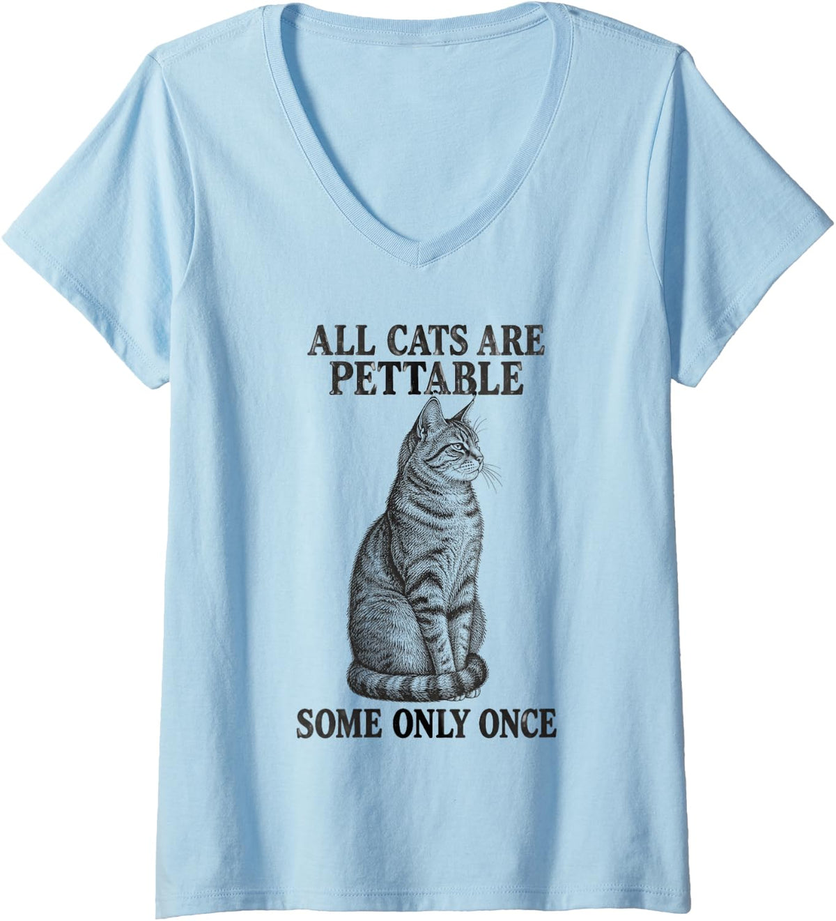 Women's All Cats are Pettable Some Only Once Tabby V-Neck T-Shirt - Baby Blue