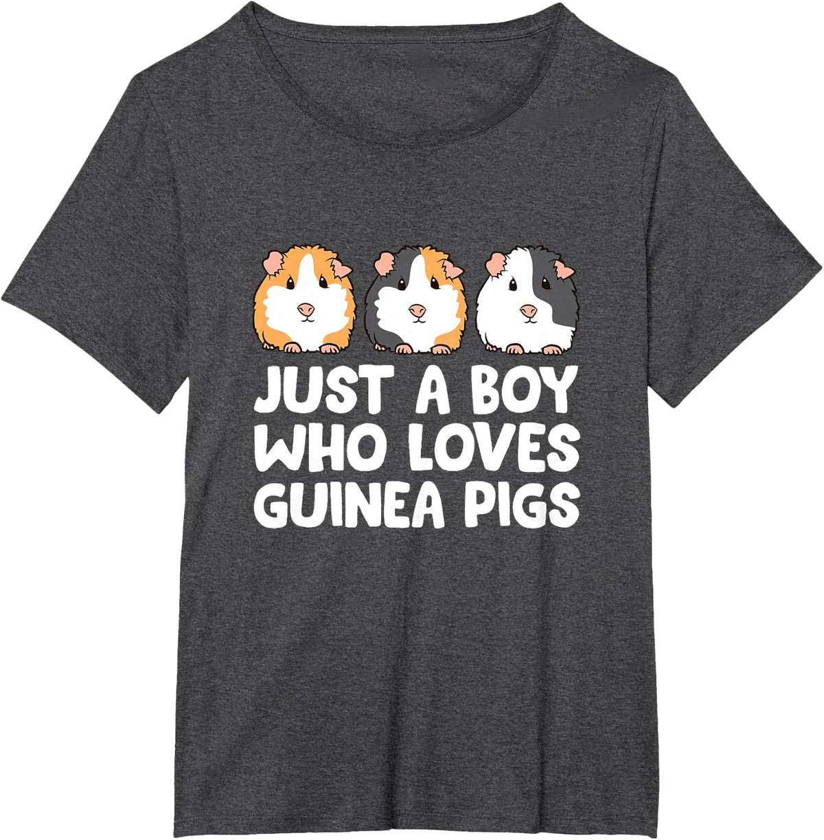 Just a Boy Who Loves Guinea Pigs T-Shirt - Dark Heather Grey