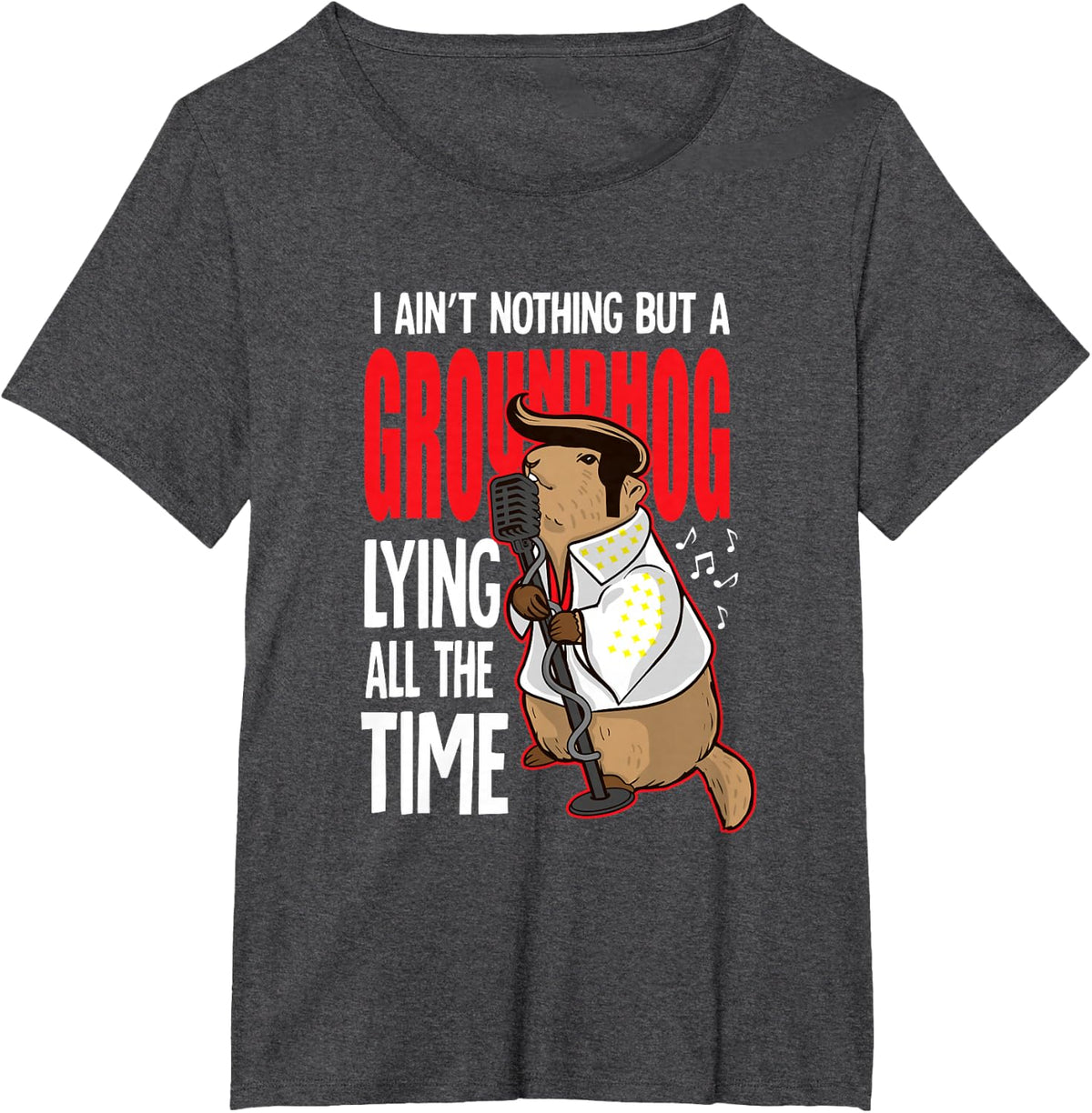 Groundhog Day Stuff by Crush Retro Funny Ain't Nothing But a Groundhog Day Lying all the Time T-Shirt - Dark Heather Grey