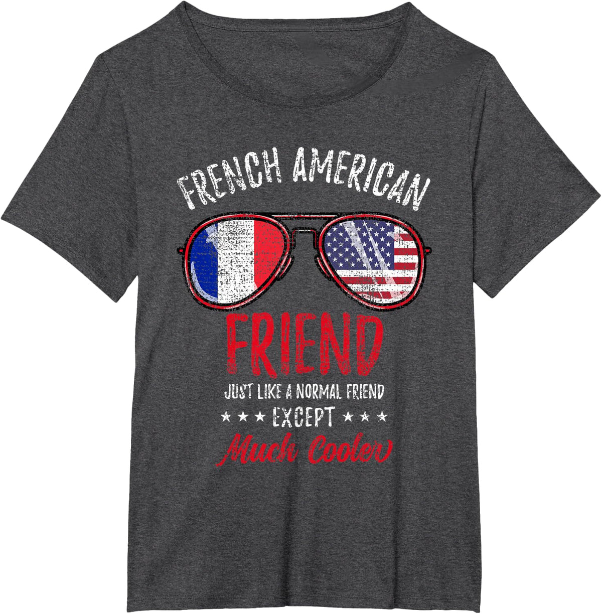 Cool French American Friend Sunglasses French Roots Vintage T-Shirt - Dark Heather Grey